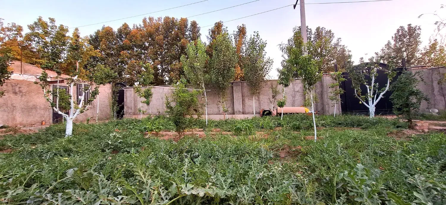 1050متر باغچه چهاردیواری، کردان با کاربری باغویلا|فروش زمین و ملک کلنگی|هشتگرد, طاووسیه|دیوار