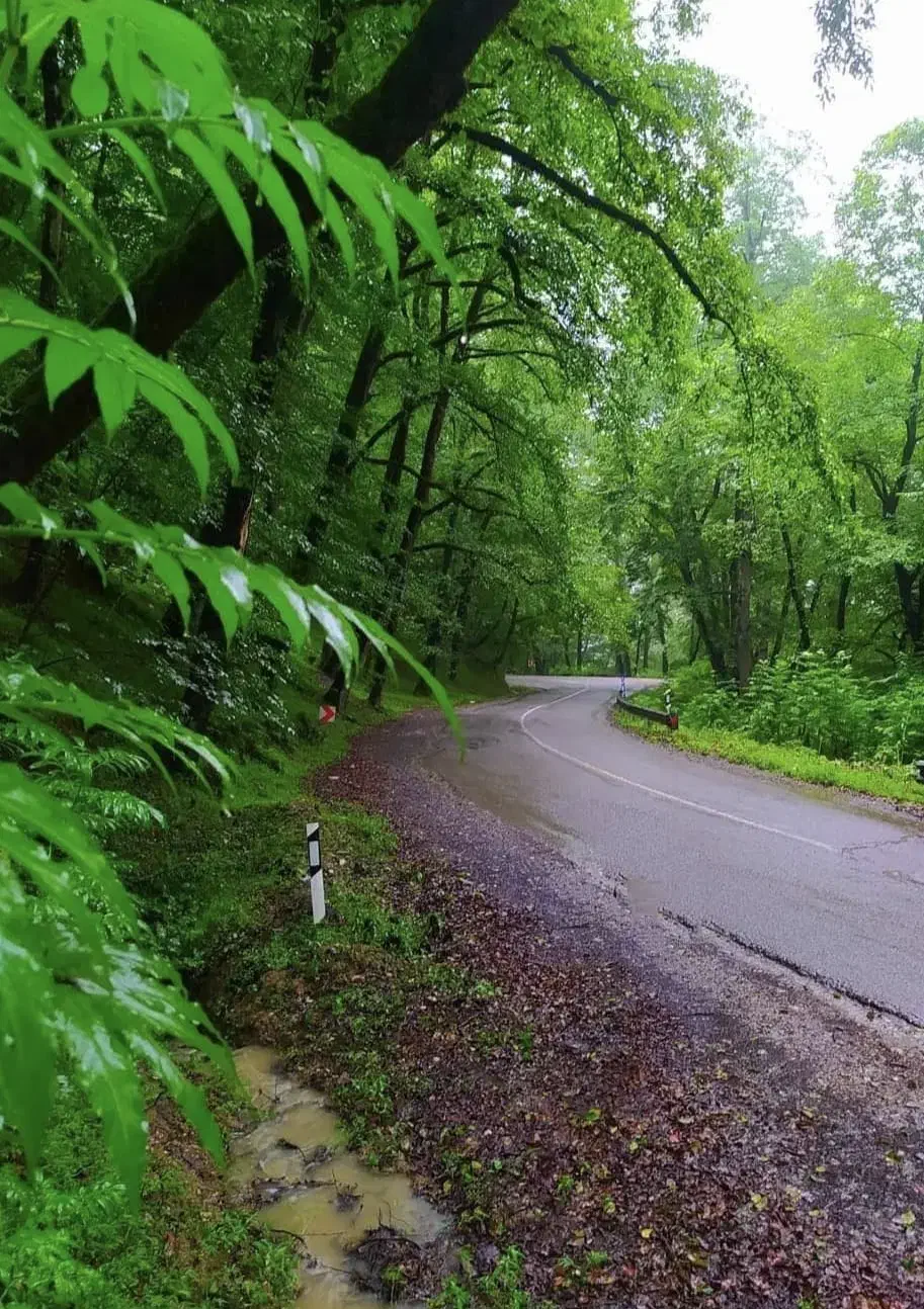 مجوز گردشگری|تور و چارتر|قدس, شهر‌قدس|دیوار