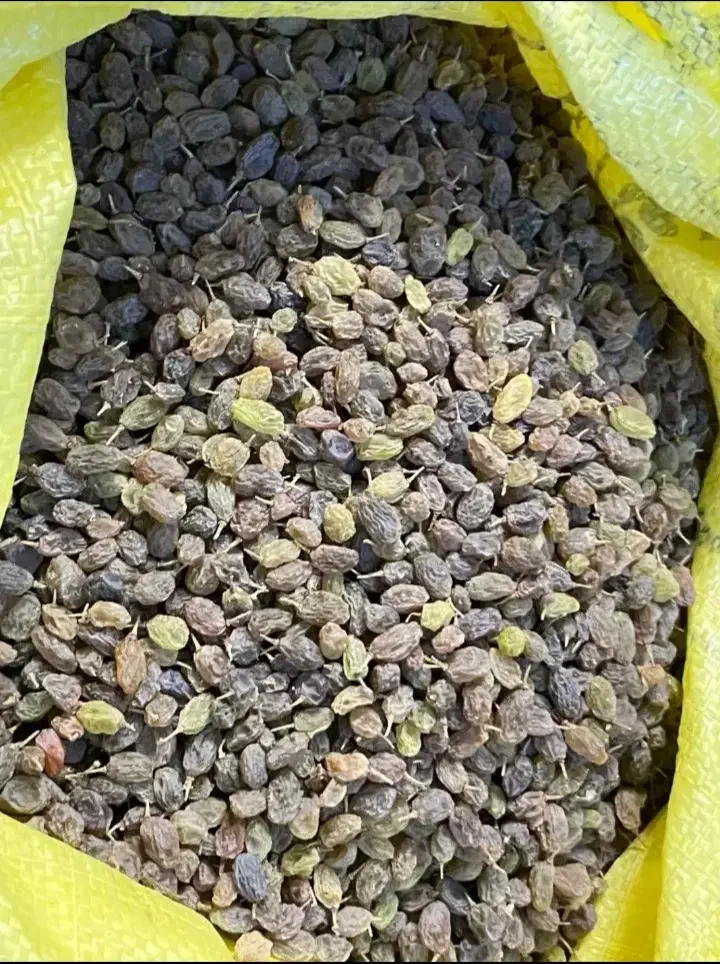 کشمش سایه خشک|خوردنی و آشامیدنی|ساوه, |دیوار