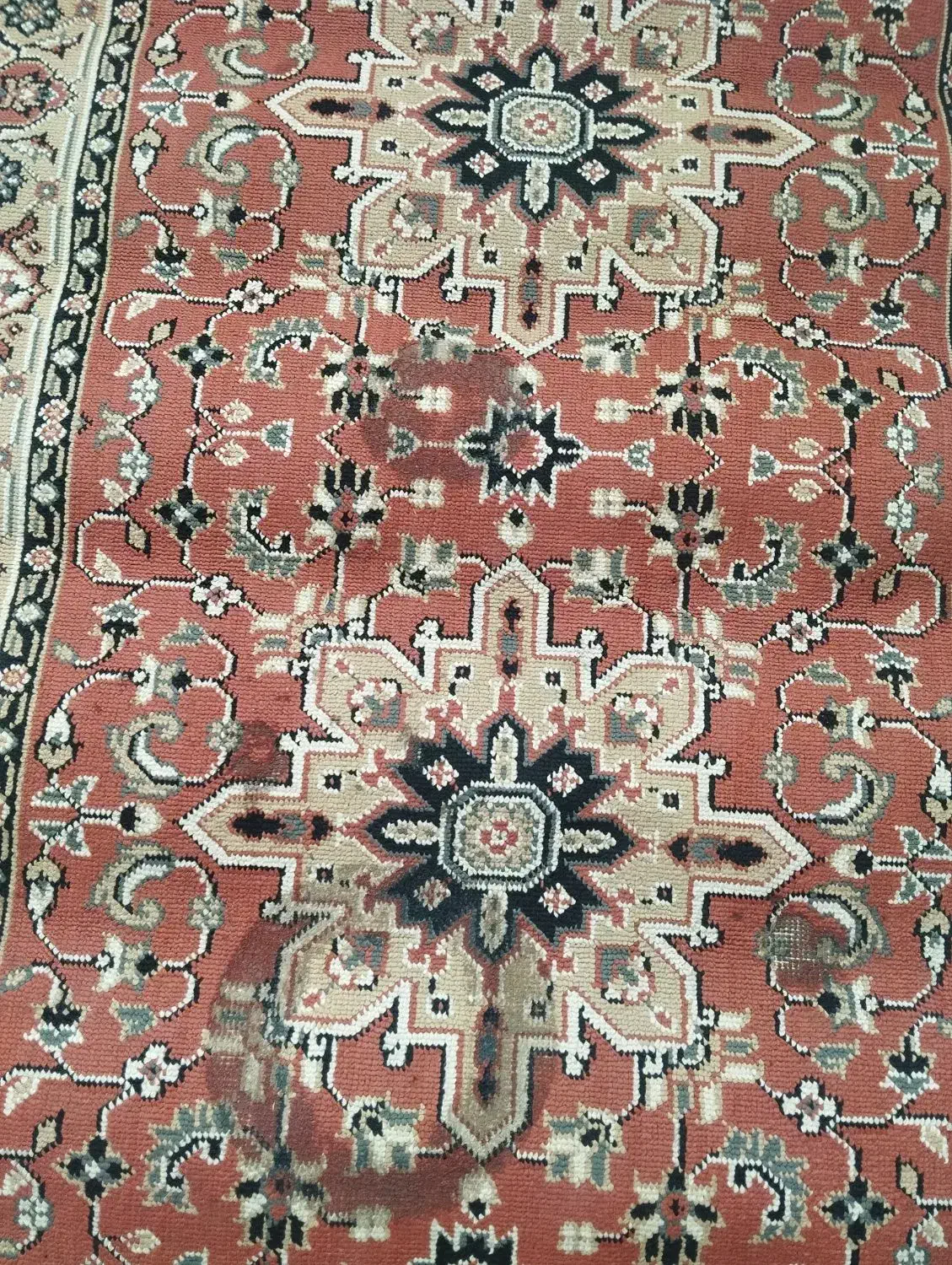 گلیم پادری|گلیم، جاجیم، گبه|شیروان (خراسان), |دیوار