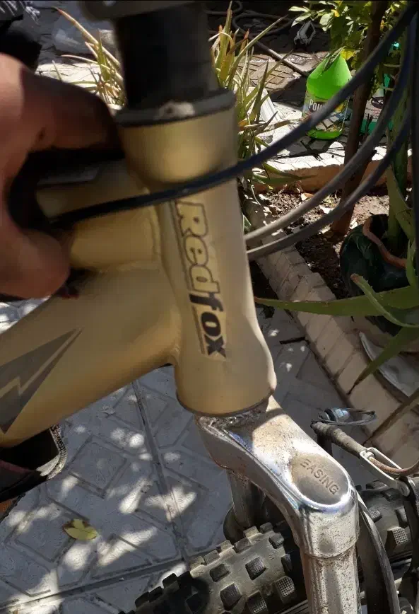 دوچرخه رد فاکس سایز ۲۸ هفت دنده.نونو.|دوچرخه، اسکیت، اسکوتر|شیراز, وحدت|دیوار