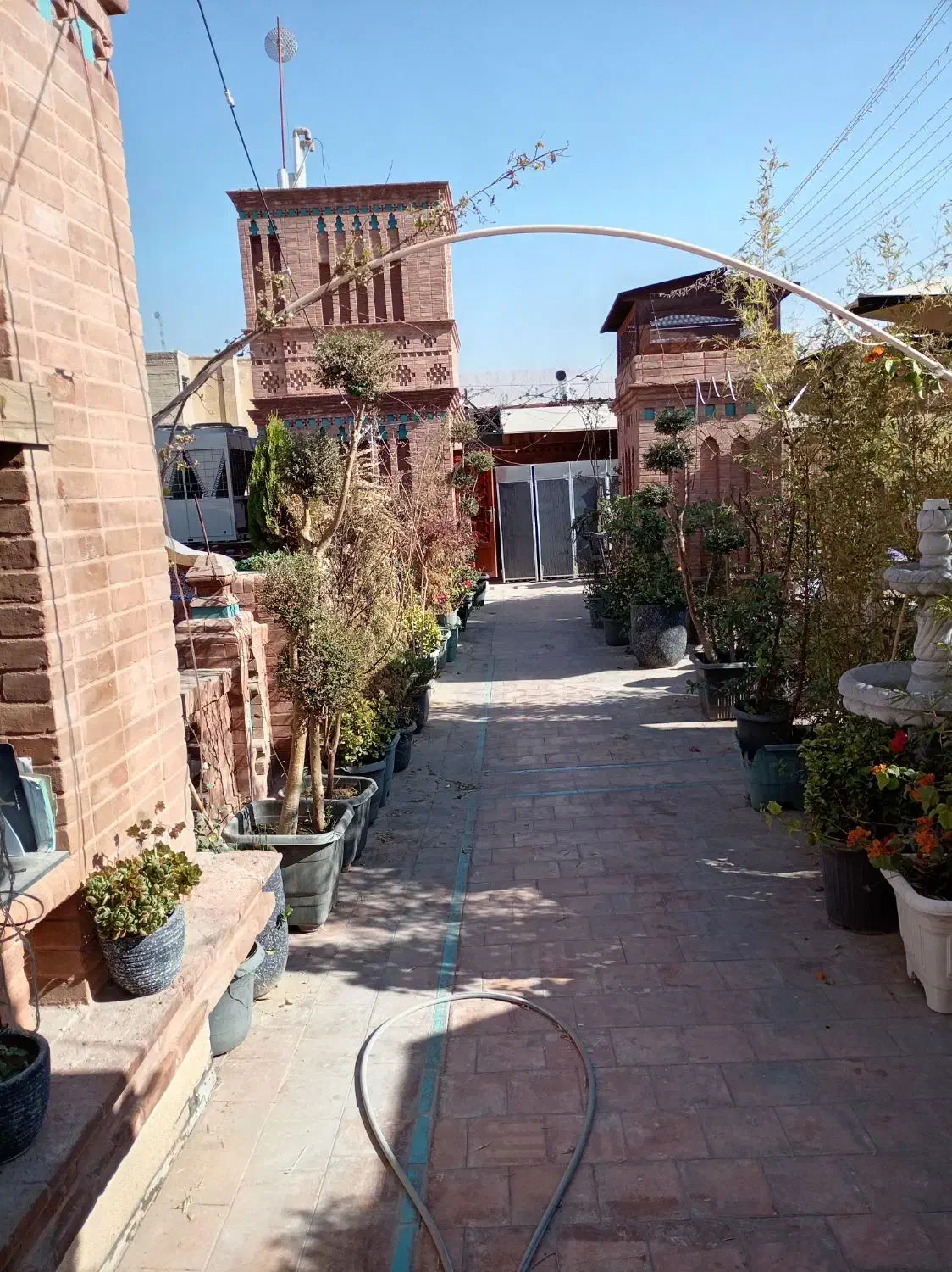 گل وگیاه|گل و گیاه طبیعی|شیراز, بازار|دیوار