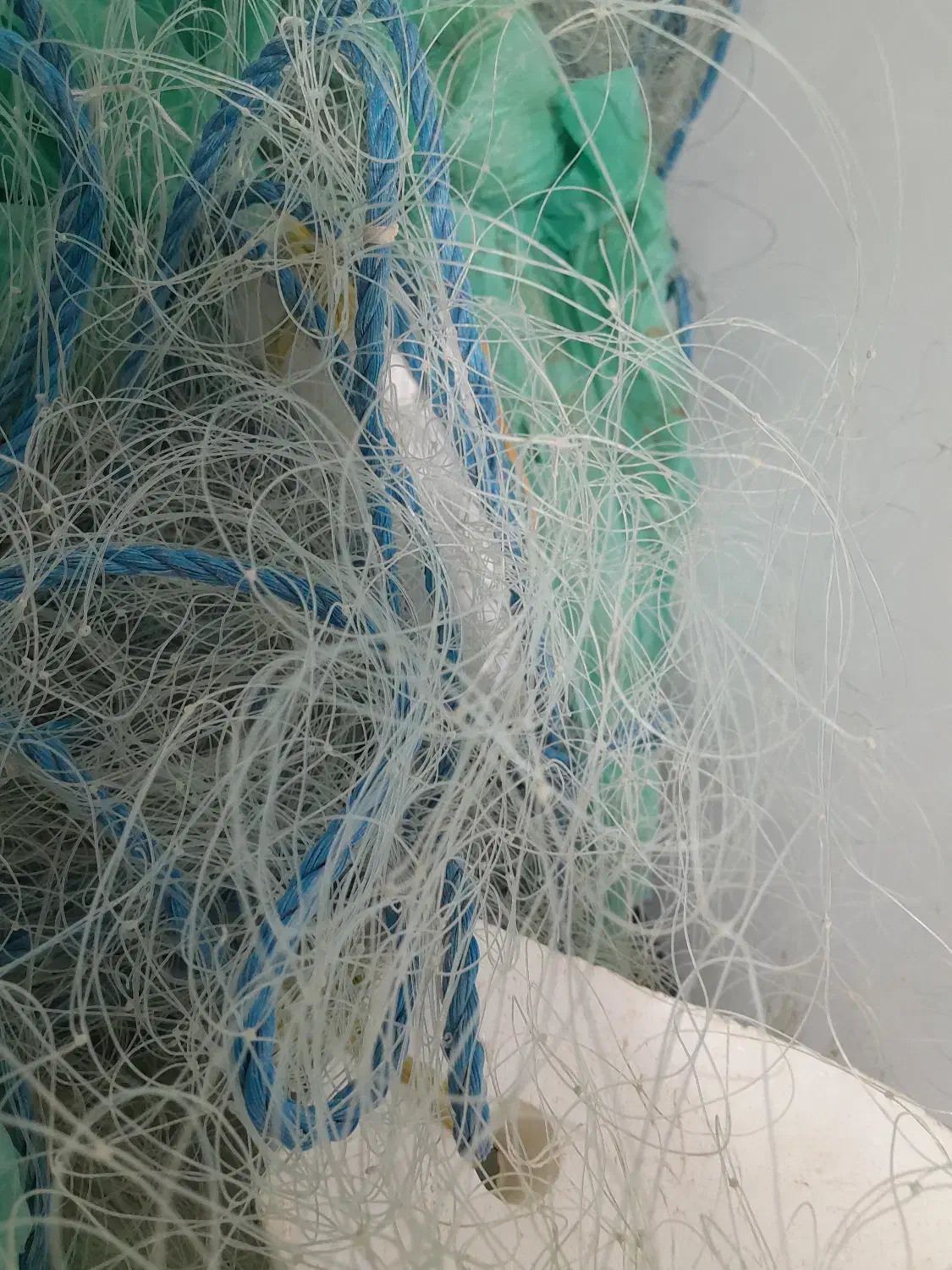 تور ماهی گیری مخصوص سد برکه پرورش|ماهیگیری|جیرفت, |دیوار