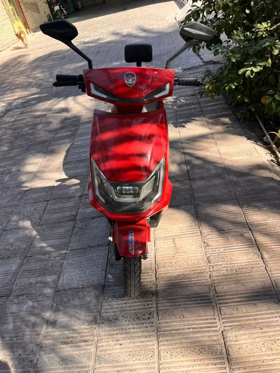 تمیز و سواری نرم|موتورسیکلت|بم, |دیوار