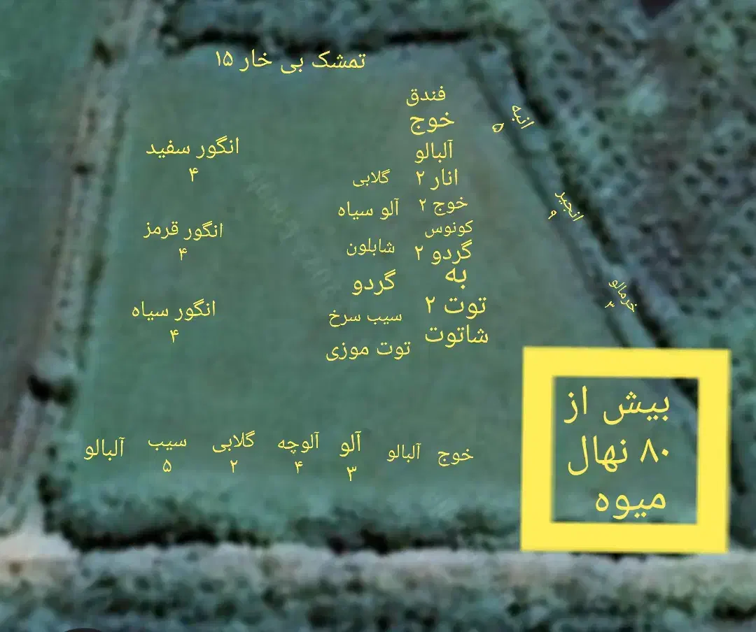 باغ مرکبات ۴هزار متر بهمراه اتاق کارگر کد۲۷۰|فروش زمین و ملک کلنگی|صومعه‌سرا, |دیوار