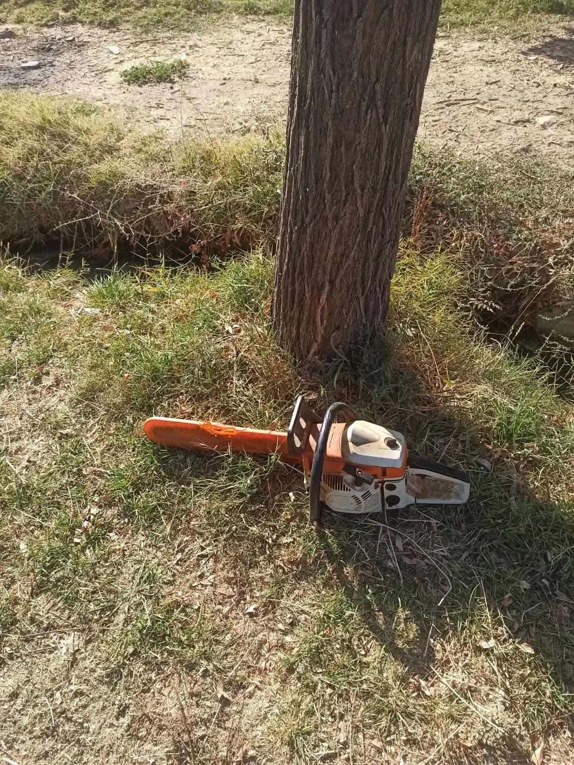 خریدار چوب بیشه و ضایعات|خدمات باغبانی و درختکاری|بروجرد, |دیوار