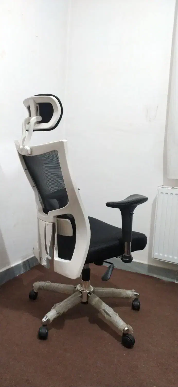 صندلی گردان طبی|صندلی و نیمکت|شبستر, |دیوار