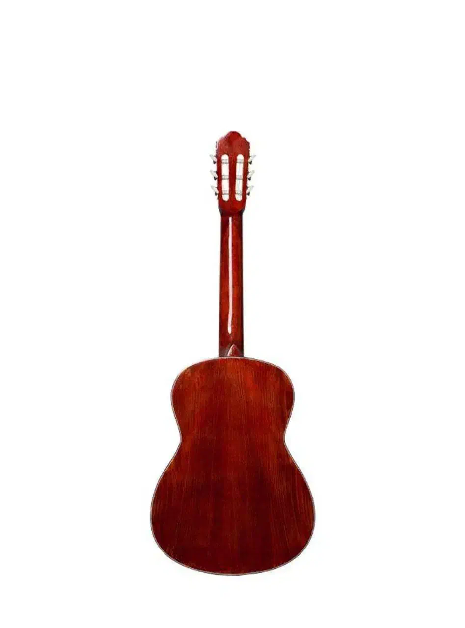 گیتار کارآموزی|گیتار، بیس، امپلیفایر|تبریز, |دیوار