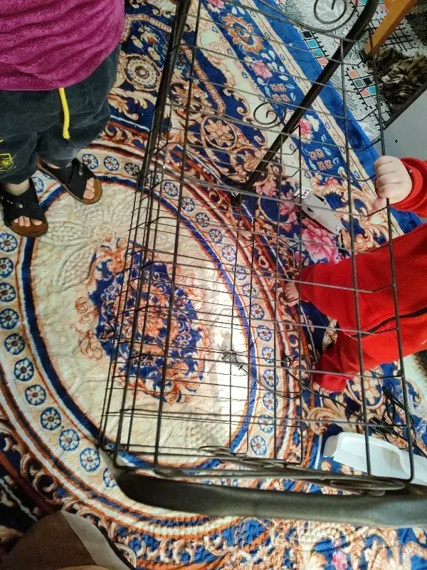 جاکفشی نو محکم و خوب|جاکفشی، کمد، دراور|مرودشت, ابوذر شمالی‎|دیوار