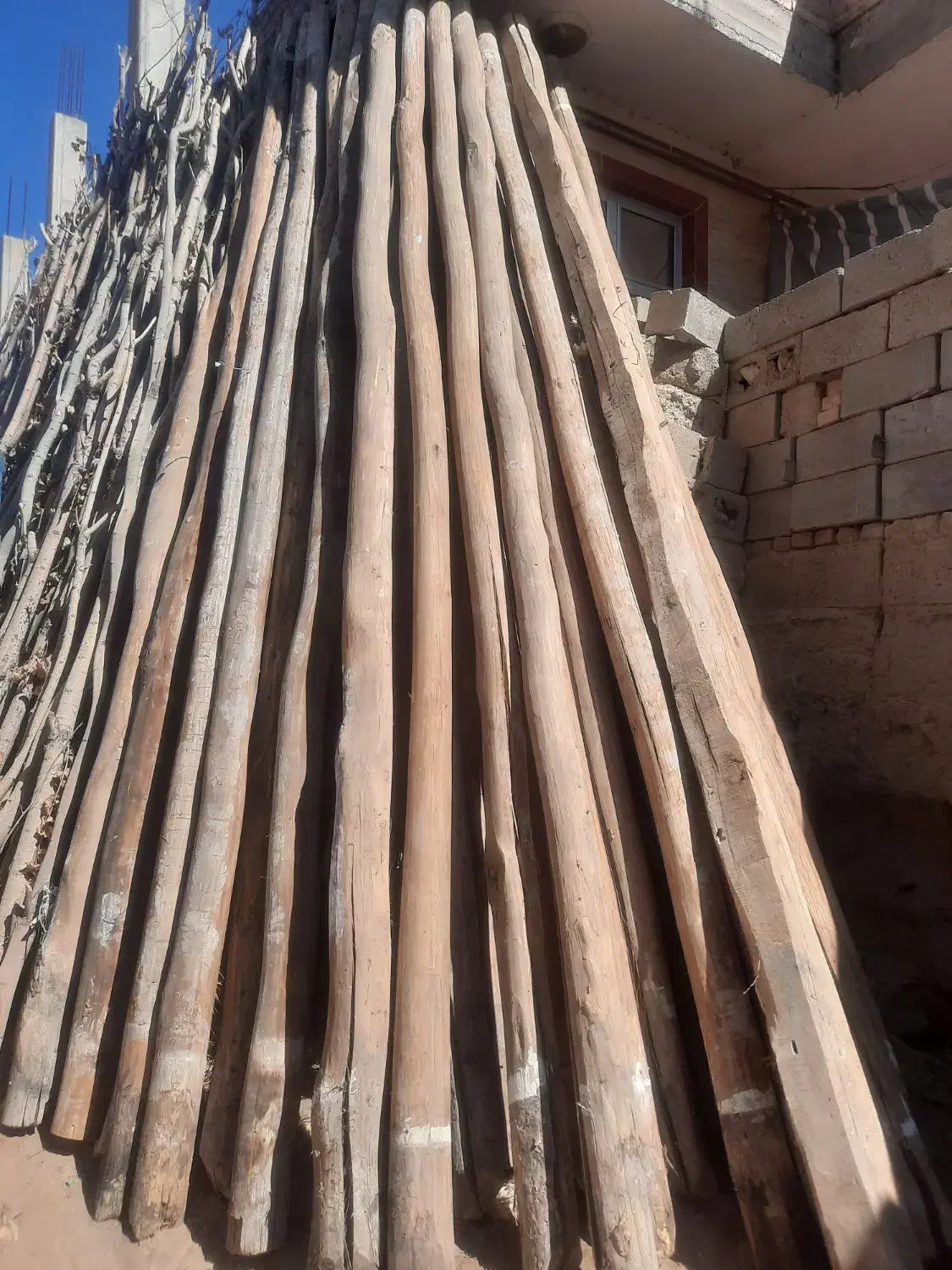 خریدار انوع چوب|خدمات باغبانی و درختکاری|بکتاش, |دیوار