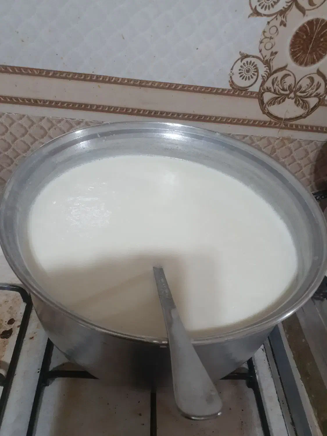 لبنیات، شیر کره.. .تخم مرغ محلی|خوردنی و آشامیدنی|مسجد سلیمان, |دیوار