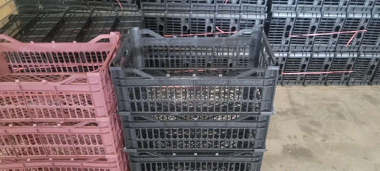 سبدتابوتی ۳۰در۵۰|ظروف نگهدارنده، پلاستیکی، یک‌بارمصرف|رودسر, |دیوار