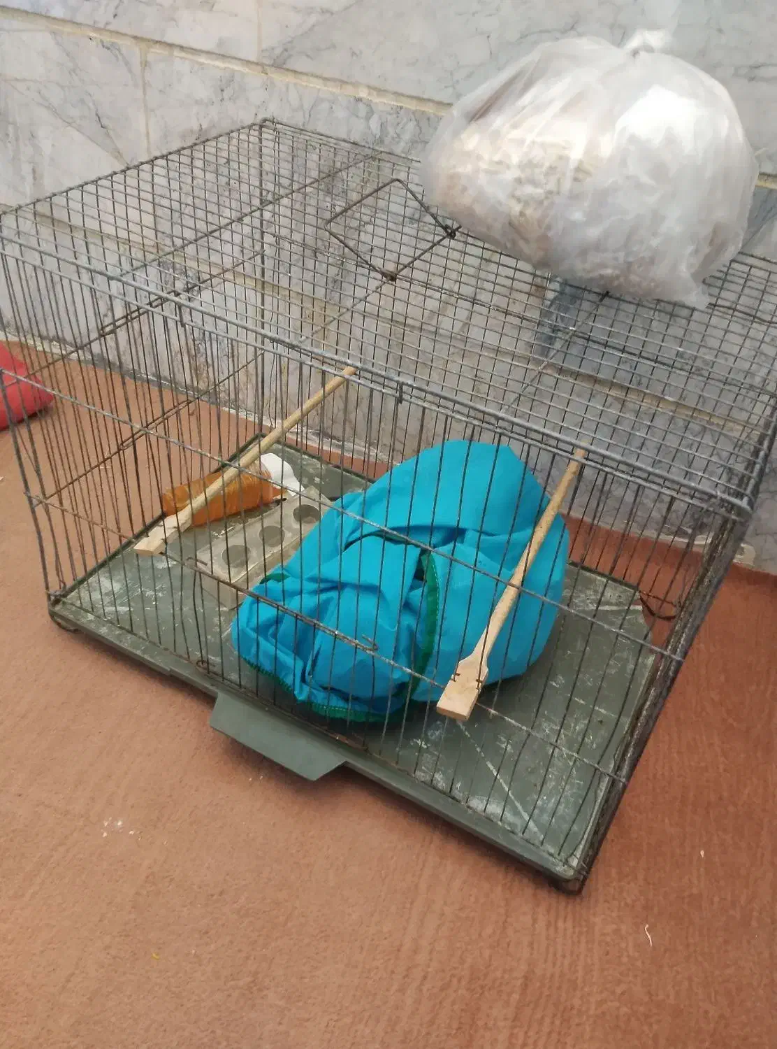 قفس پرنده|لوازم جانبی حیوانات|قرچک, زیبا شهر|دیوار