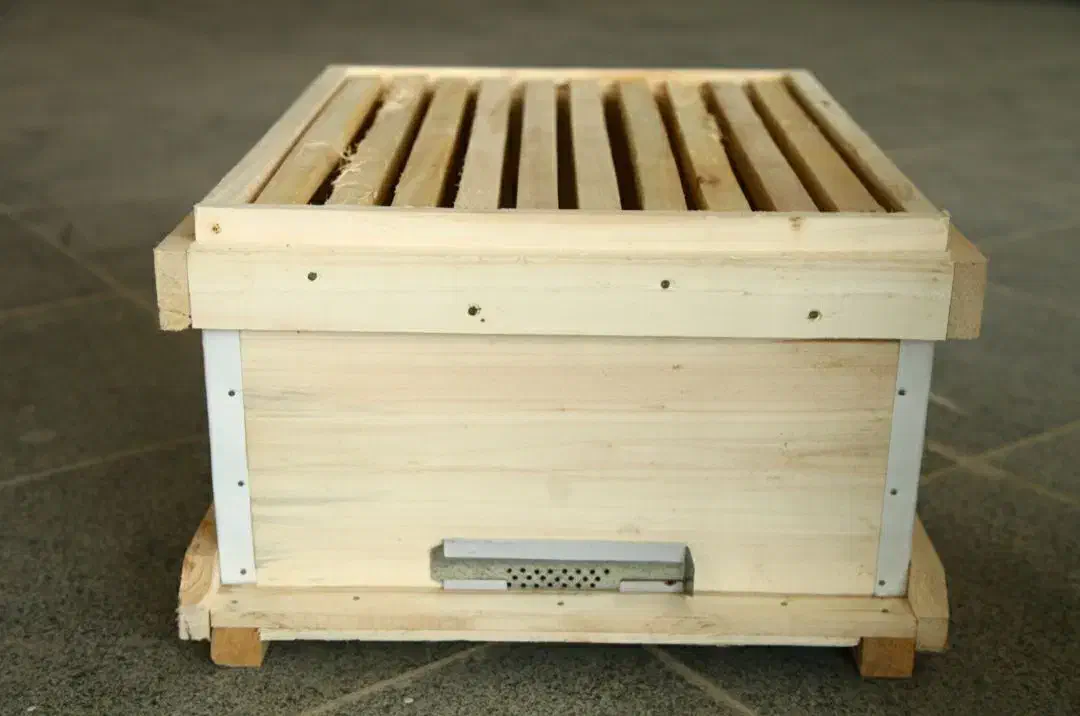 کندوی زنبور عسل|لوازم جانبی حیوانات|قزوین, |دیوار