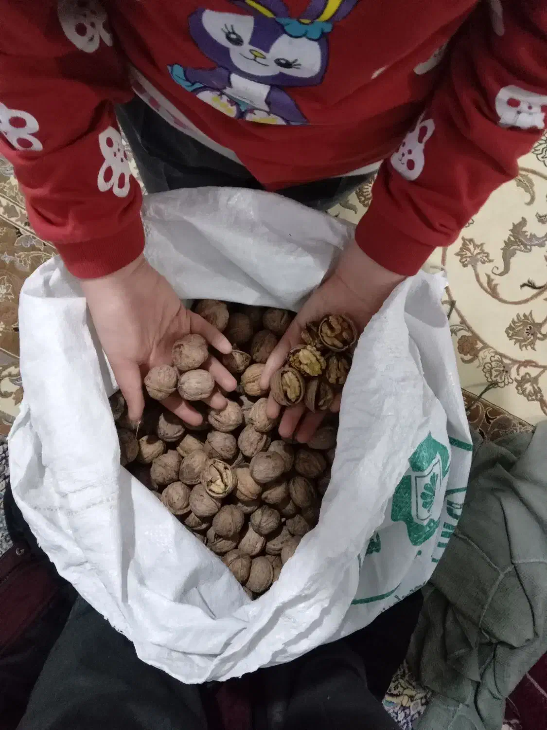 گردو ومغزگردو بشرط...|خوردنی و آشامیدنی|مشگین شهر, |دیوار