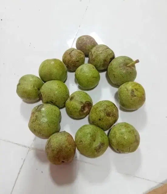 گردوو|خوردنی و آشامیدنی|سملقان, |دیوار
