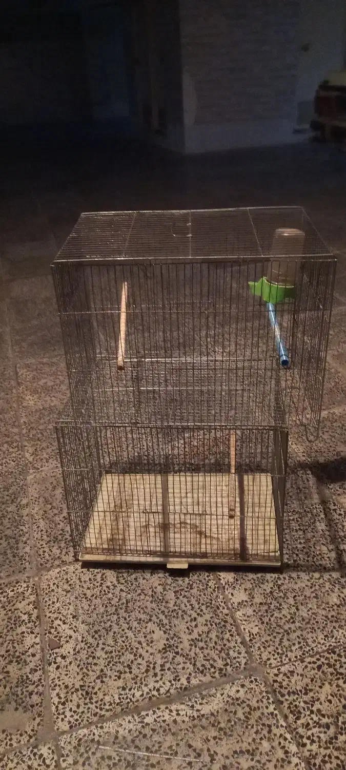 قفس|لوازم جانبی حیوانات|فولادشهر, مسکن مهر فولادشهر|دیوار