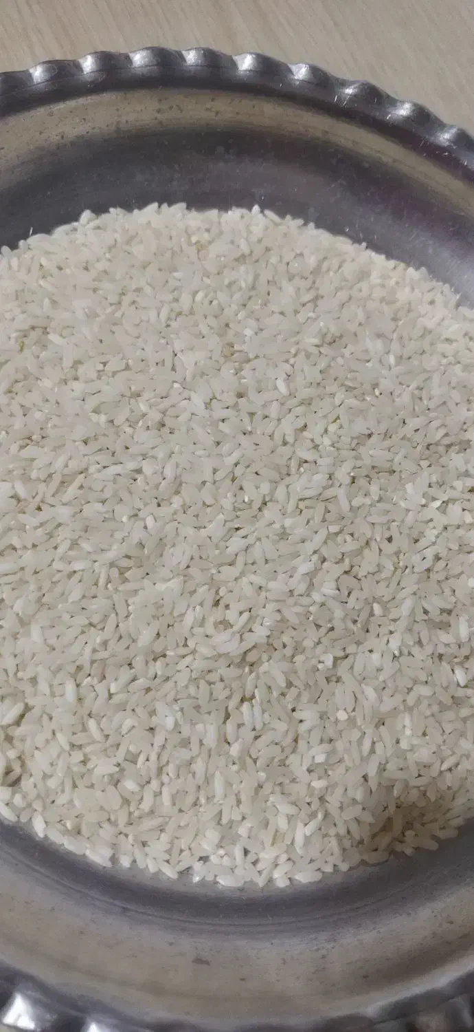 برنج عنبربو میمه|خوردنی و آشامیدنی|سراب میمه, |دیوار