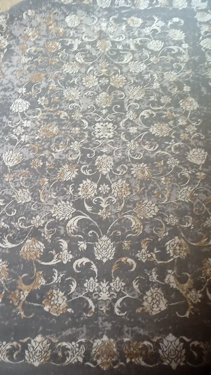 کنار فرش 1000شانه|فرش|بندرعباس, |دیوار