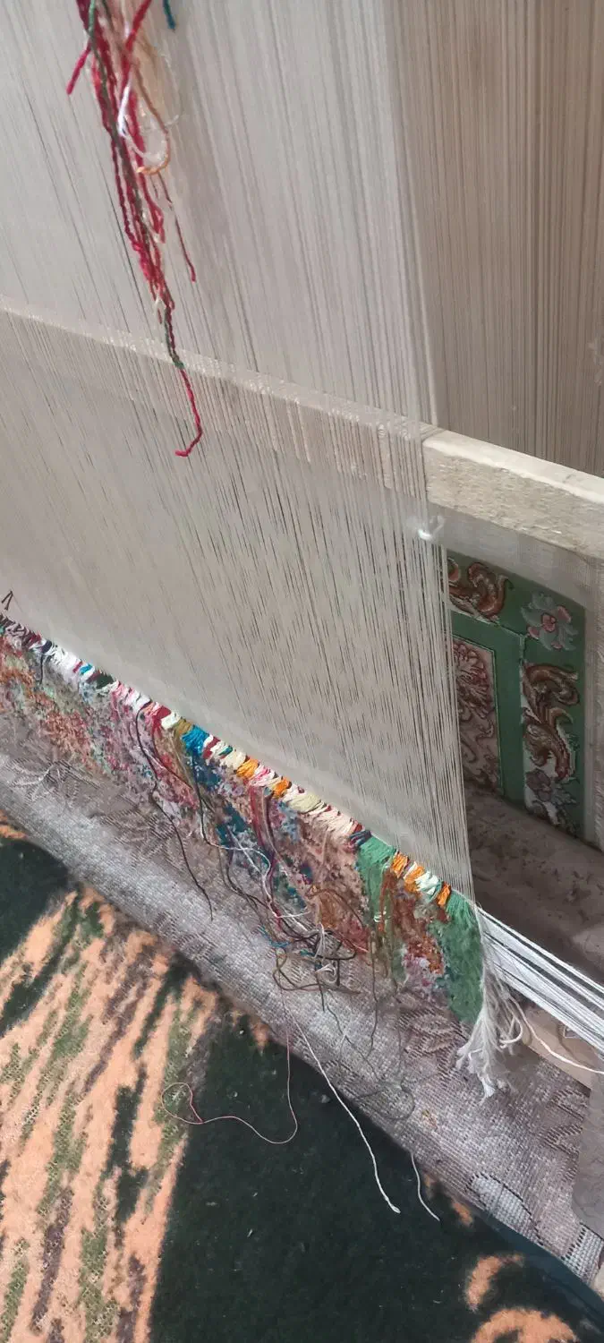 فرش دستباف نیمه کاره.|فرش|شوط, |دیوار
