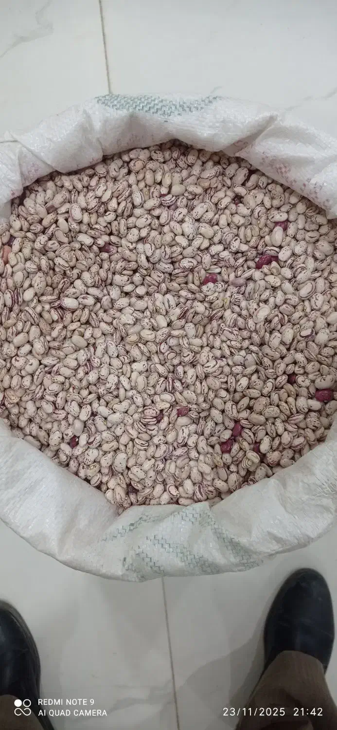 لوبیا چیتی|عمده‌فروشی|مریوان, |دیوار