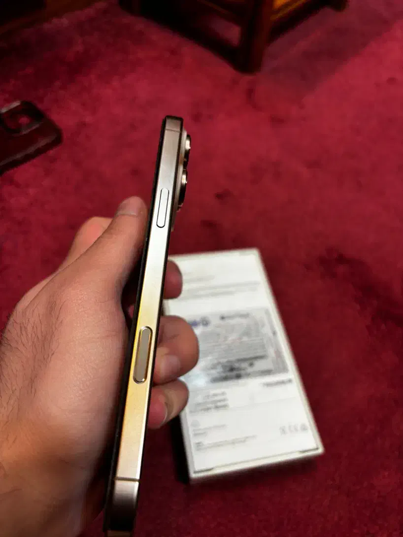 16 promax 256 gig با گارانتی شرکتی|موبایل|شیراز, سینما سعدی|دیوار