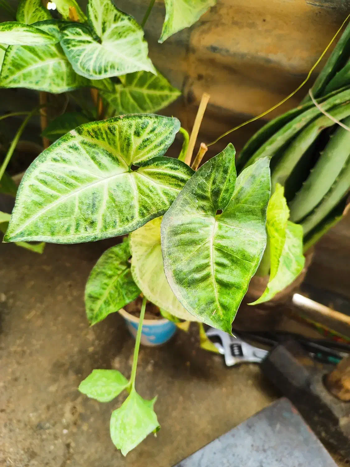 کنسول بازی|کنسول، بازی ویدئویی و آنلاین|سرپل ذهاب, |دیوار