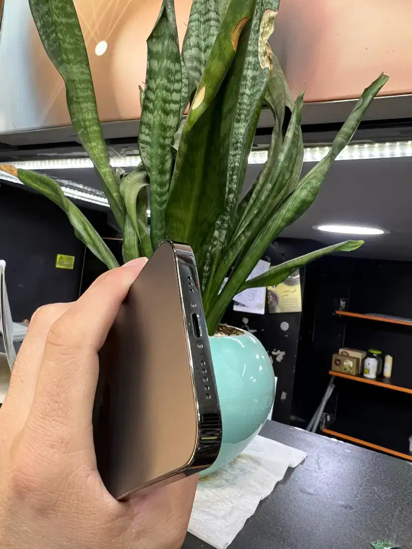 12 pro zaa|موبایل|تهران, صادقیه|دیوار