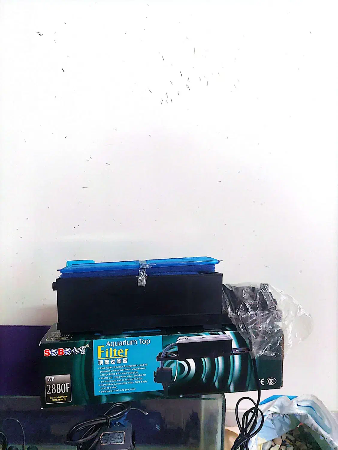 فروش آکواریوم و وسایل جانبی در حد نو|ماهی|شیراز, کیان شهر|دیوار