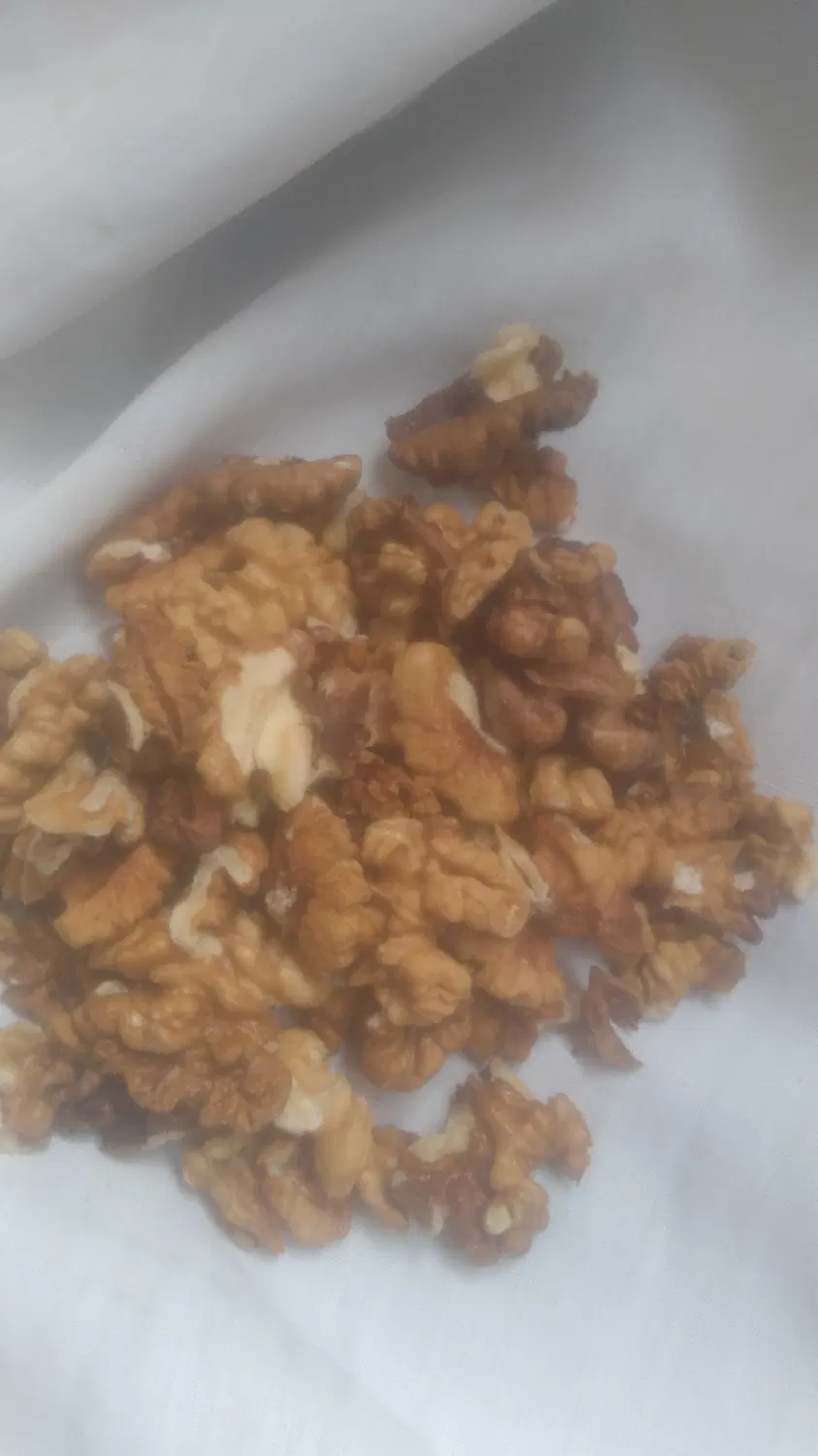 گردو|خوردنی و آشامیدنی|مشهد, کشف|دیوار