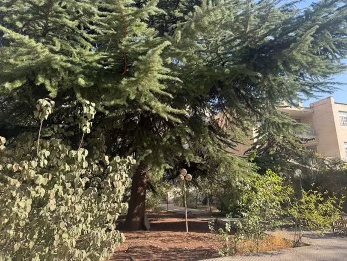 280 متر کلنگی با جواز|فروش زمین و ملک کلنگی|تهران, زعفرانیه|دیوار