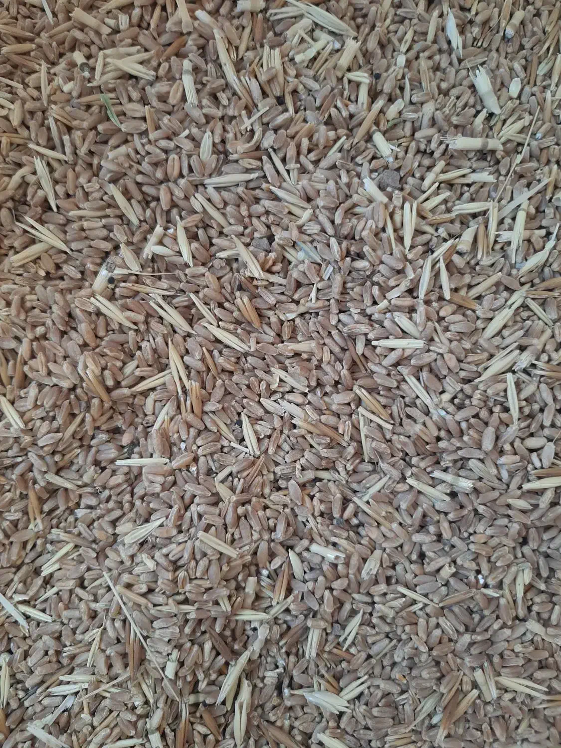 گندم|لوازم جانبی حیوانات|چرداول, |دیوار