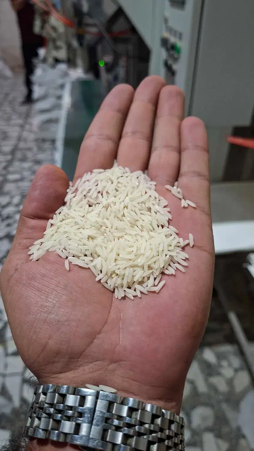 برنج درجه یک خالص و با کیفیت و عطری(کشاورزم)|خوردنی و آشامیدنی|محمودآباد, |دیوار