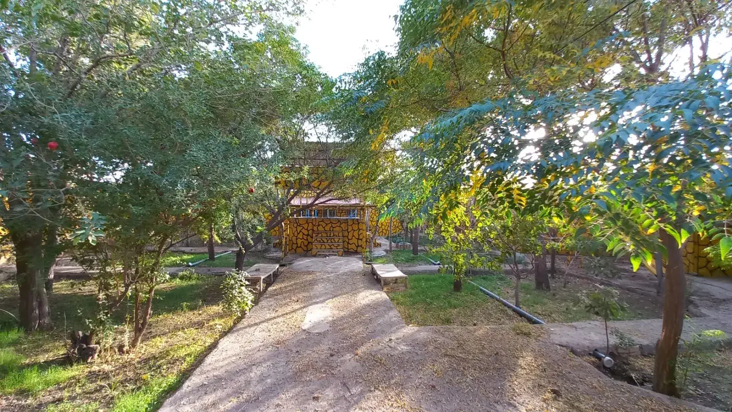 خانه باغ ویلا بازسازی شده پلاک ۱|فروش خانه و ویلا|تربت‌حیدریه, پائین ولایت|دیوار