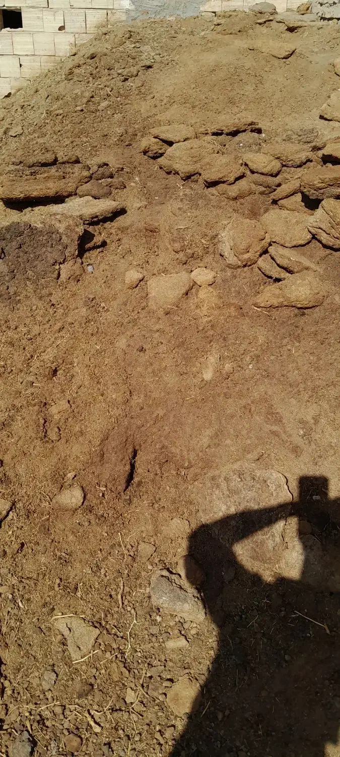 کود گوسفند|لوازم جانبی حیوانات|رفسنجان, |دیوار