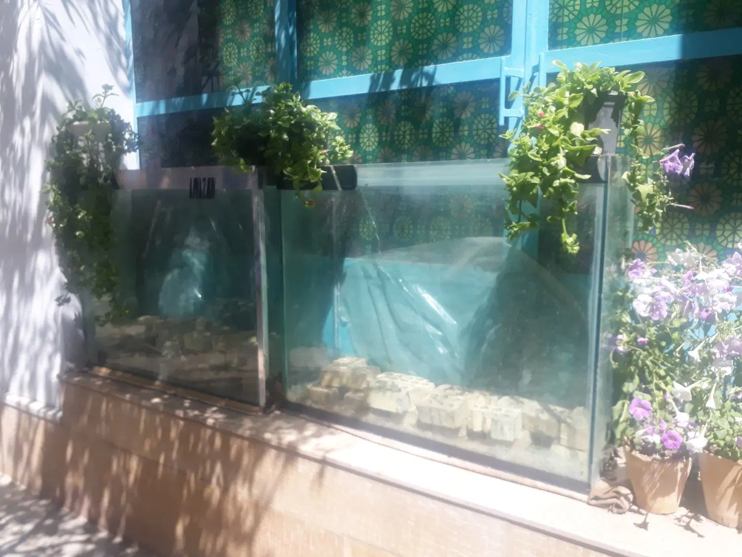 آکواریوم ۷۰ در ۱|ماهی|اصفهان, سرتاوه|دیوار
