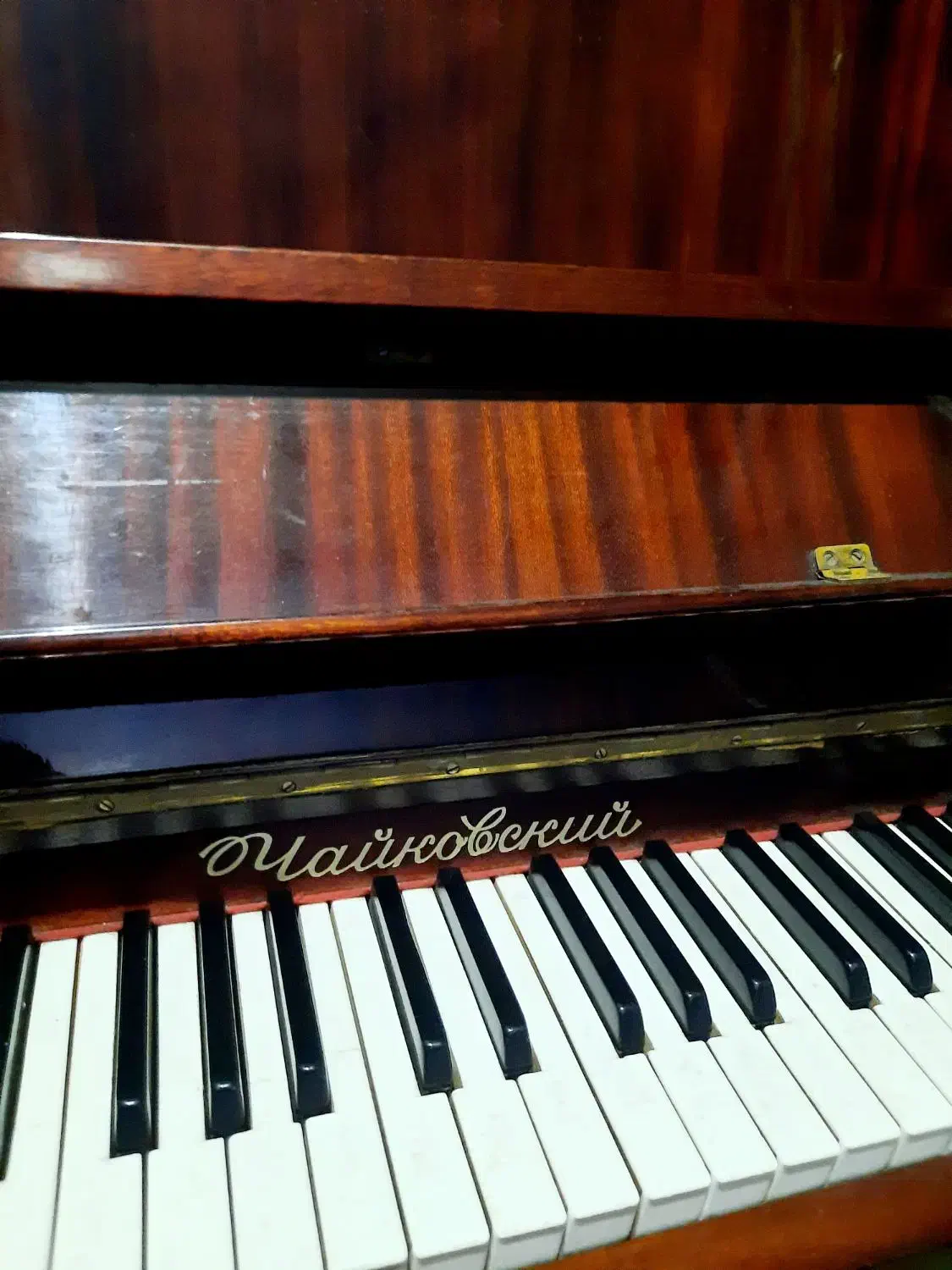 پیانوی کلاسیک|پیانو، کیبورد، آکاردئون|رشت, گلسار|دیوار