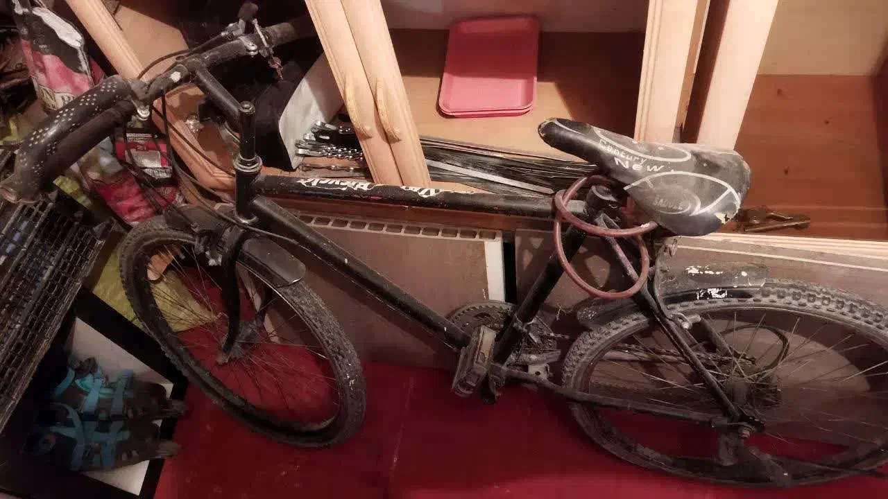 دوچرخه دماوند|دوچرخه، اسکیت، اسکوتر|مشهد, شهرک ابوذر|دیوار