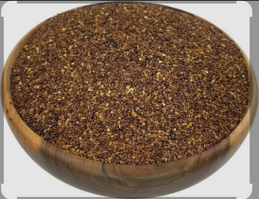 اشتریی سم سم|حراج|سوسنگرد, |دیوار