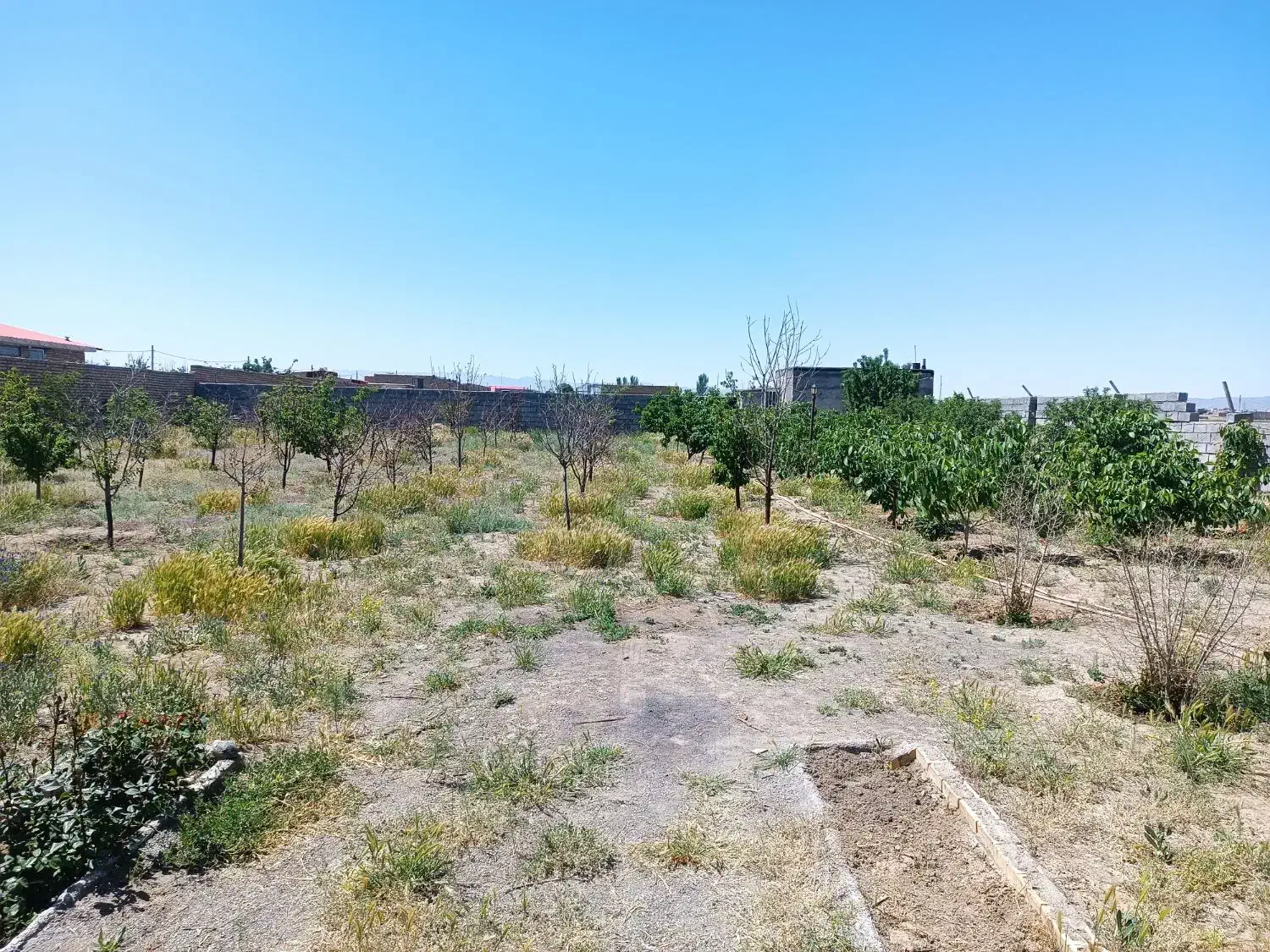 باغ ویلا در شهرستان فریمان بمتراژ 1200متر|فروش خانه و ویلا|فریمان, |دیوار