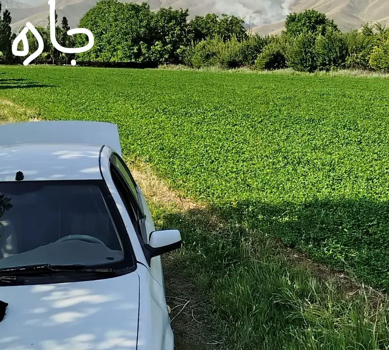 زمین کشاورزی اجاره ی|اجارهٔ دفتر صنعتی، کشاورزی، تجاری|اشترینان, |دیوار