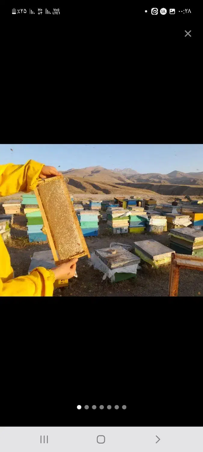 عسل واقعی از دشت سبلان و مشکین شهر|خوردنی و آشامیدنی|تهران, مرزداران|دیوار