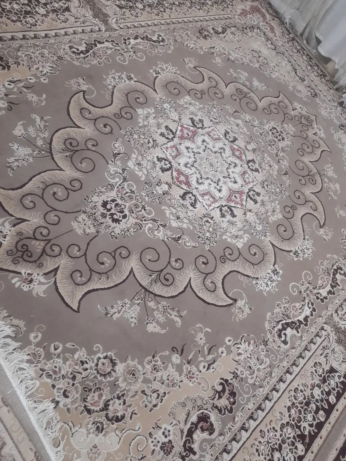 فرش ۱۲ متری|فرش|شوش, |دیوار