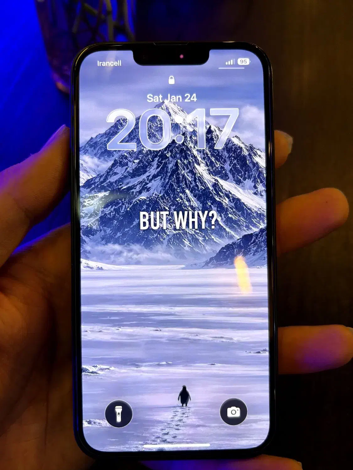 ایفون ۱۴ نرمال|موبایل|مشهد, امیریه|دیوار