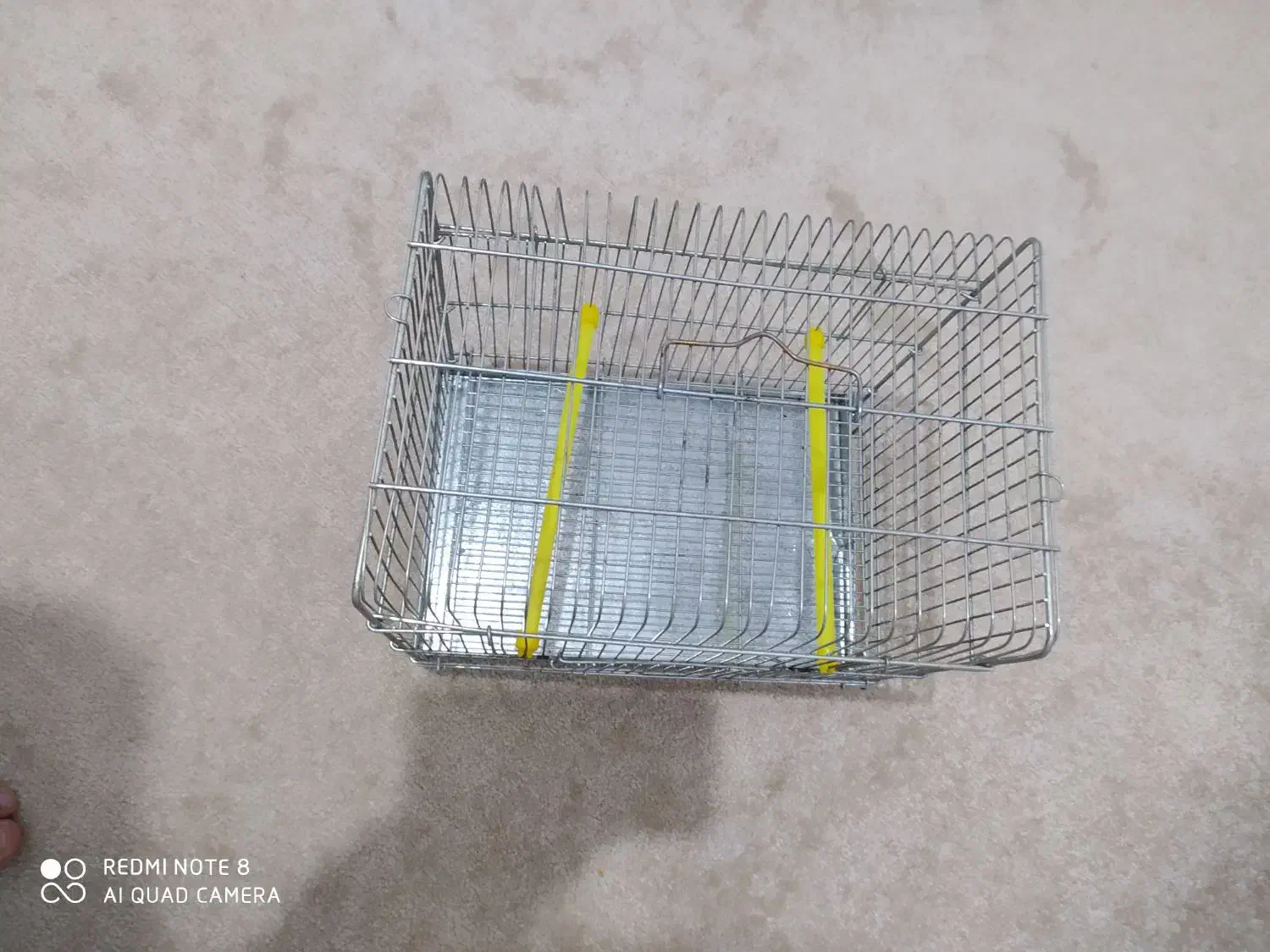 سهره  نر جوجه قفس وقفس غلامی|پرنده|خوی, |دیوار