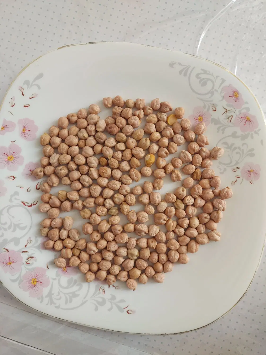 نخود|عمده‌فروشی|شیراز, غدیر شمالی|دیوار