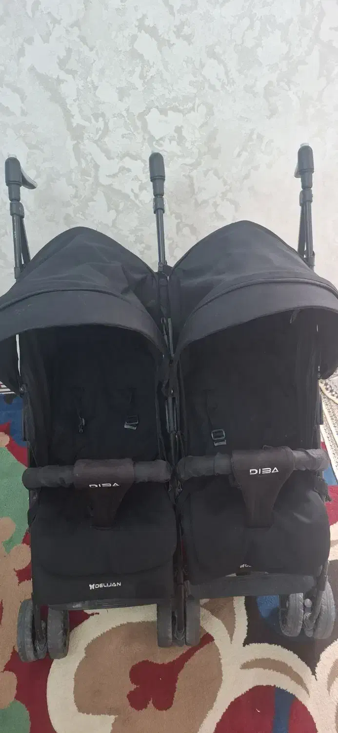 کالسکه دوقلویی دلیجان|کالسکه و لوازم جانبی|باغستان, |دیوار