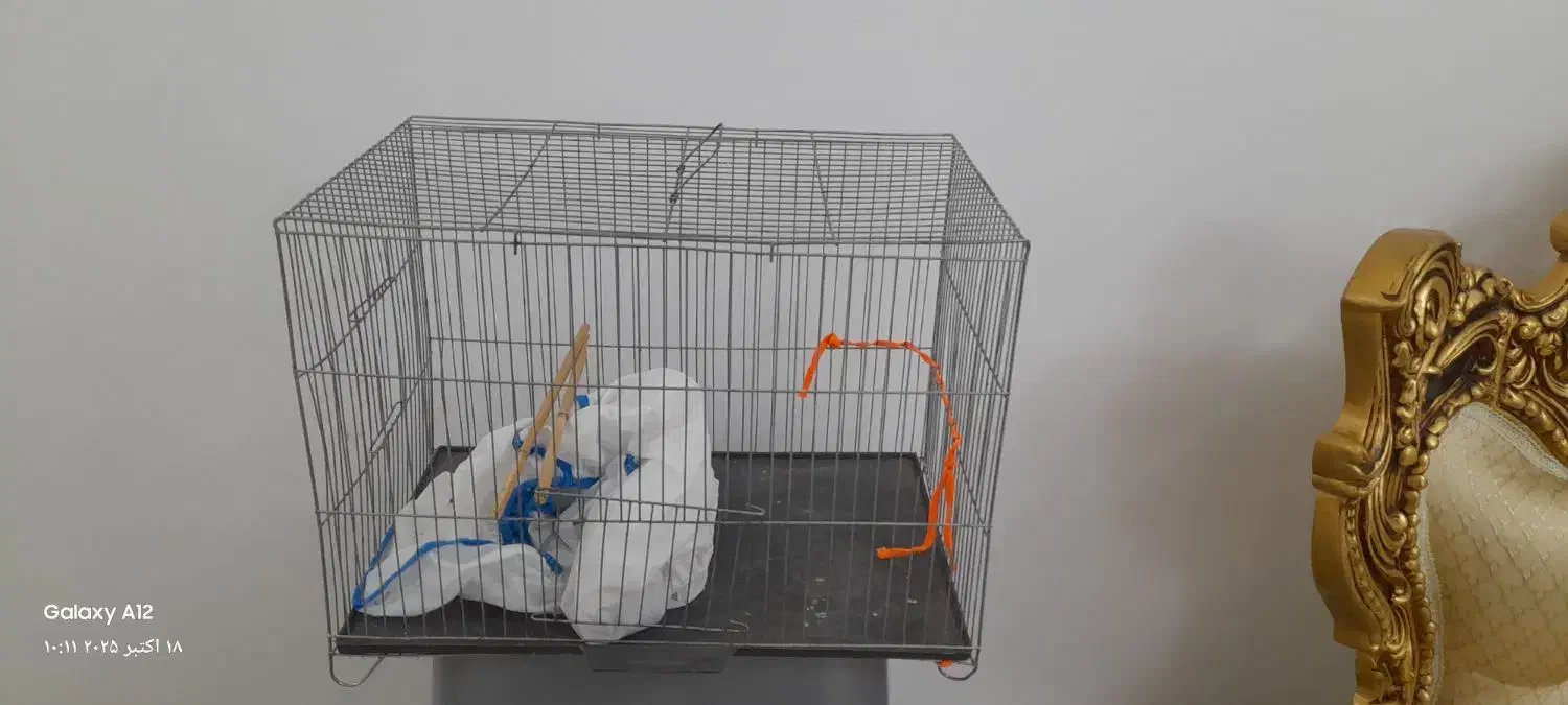 قفس سالم|لوازم جانبی حیوانات|بندر انزلی, آذربایجان|دیوار