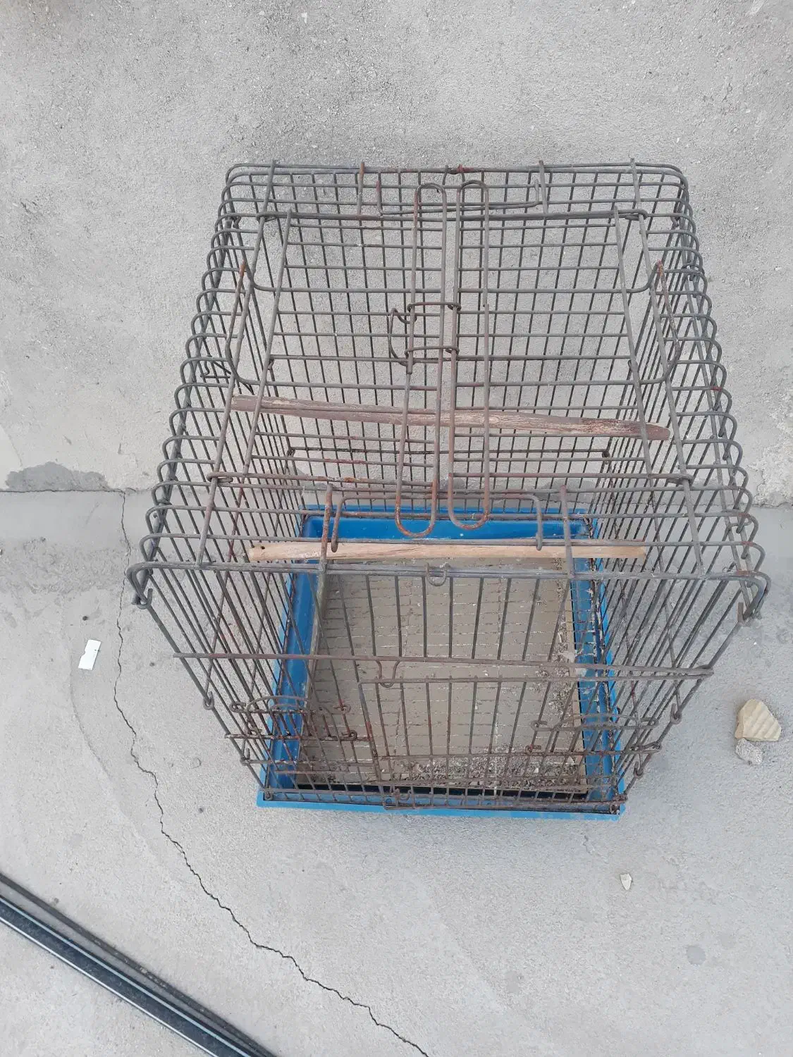 قفس کاسکویی بزرگ|لوازم جانبی حیوانات|قشم, |دیوار