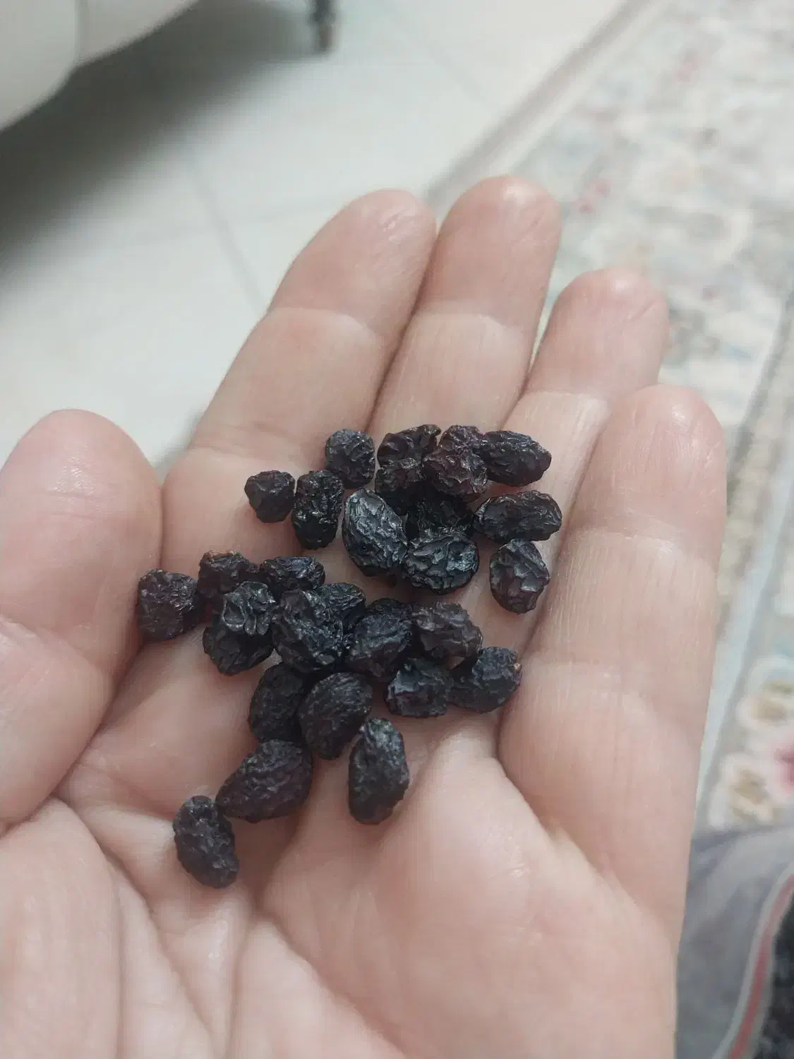 کشمش درجه یک تمیز|خوردنی و آشامیدنی|ساوه, |دیوار